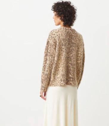 Pleoli Leopard Pullover