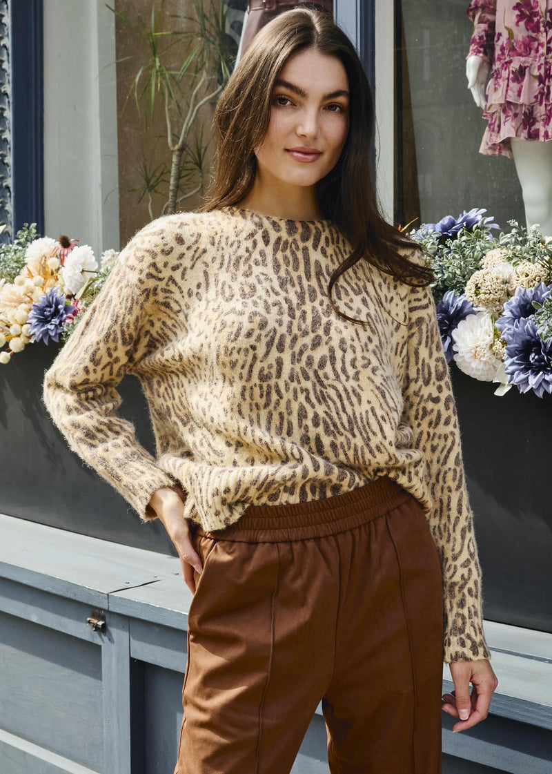 Pleoli Leopard Pullover