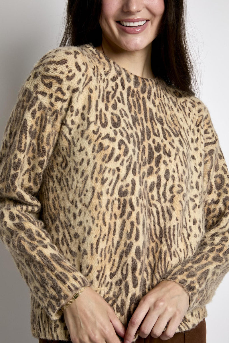 Pleoli Leopard Pullover