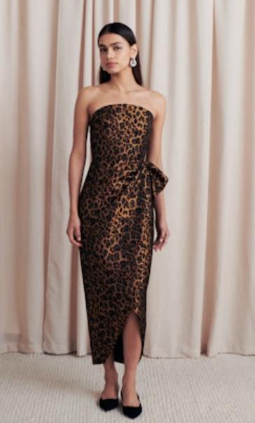 Zaniya Leopard Dress